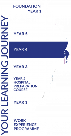 4th Year medical students 4th year graphic