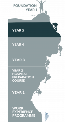 4th Year medical students 5th year graphic