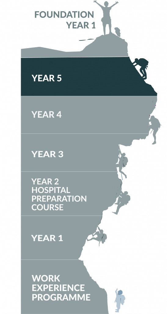 5th year graphic