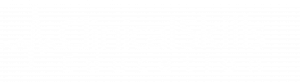 Clinical skills logo white